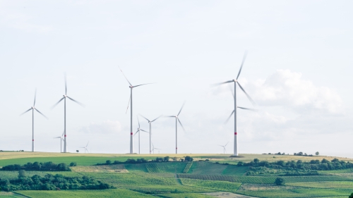 Wind turbines stand in a green landscape against a gray sky.