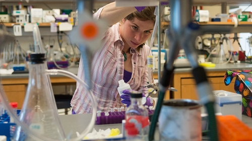 a female grad student working in a science lab