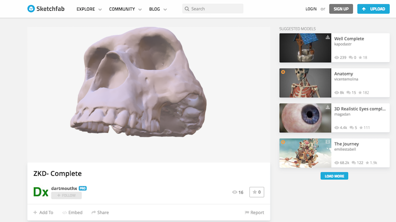 Museum Fossil Online Virtual Tour Museum Fossil Online Virtual Tour